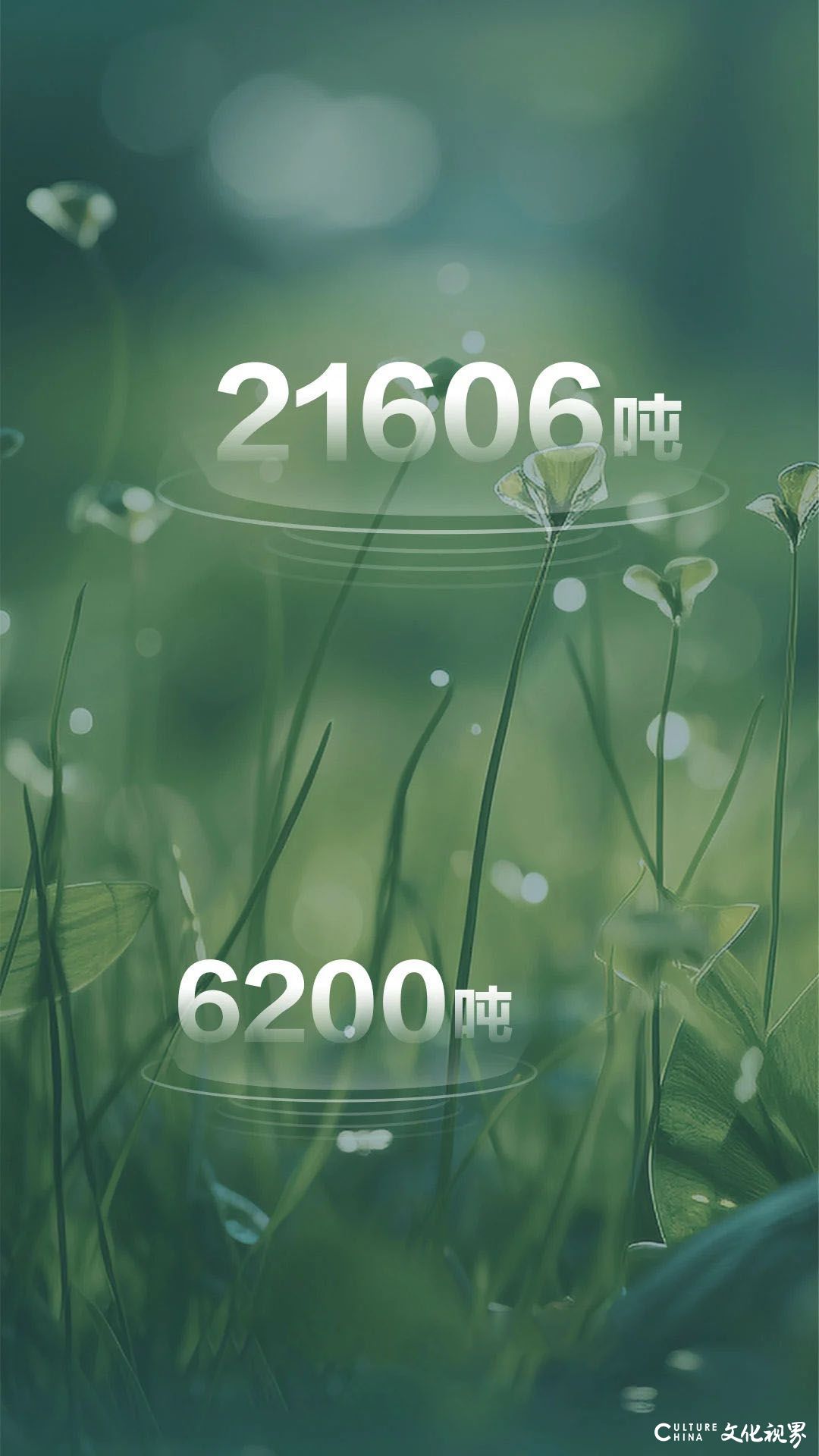 海尔：18个绿色低碳家电认证助您打造“智慧家”