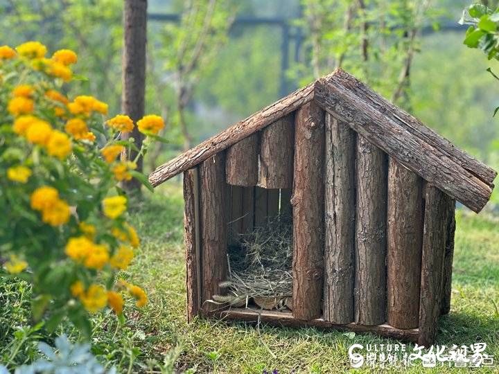 山东第一全国第三！济南佛慧山绿色生态廊桥正式启用