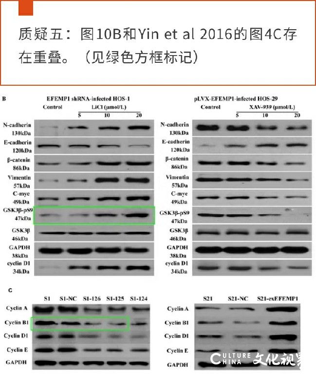 被疑大量图片与已发表文章中的图像重叠，山大齐鲁医院一论文被期刊要求撤稿