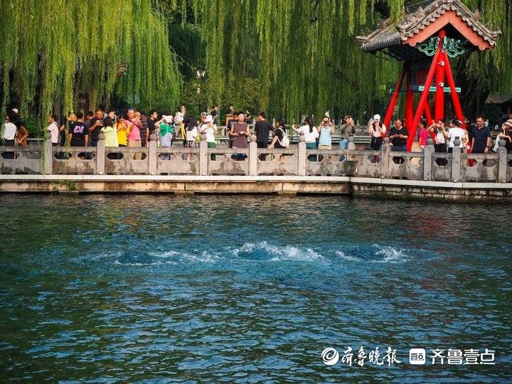 持续喷涌20年！2003年复涌后的济南趵突泉太给力了