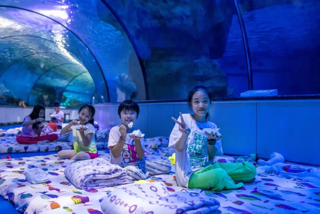 奇遇自然·梦回海洋 | 泉城欧乐堡3天2夜的研学绘梦之旅即将开始啦！