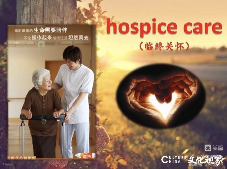 师生之间的灵魂碰撞——我与阿波老师的生死交流