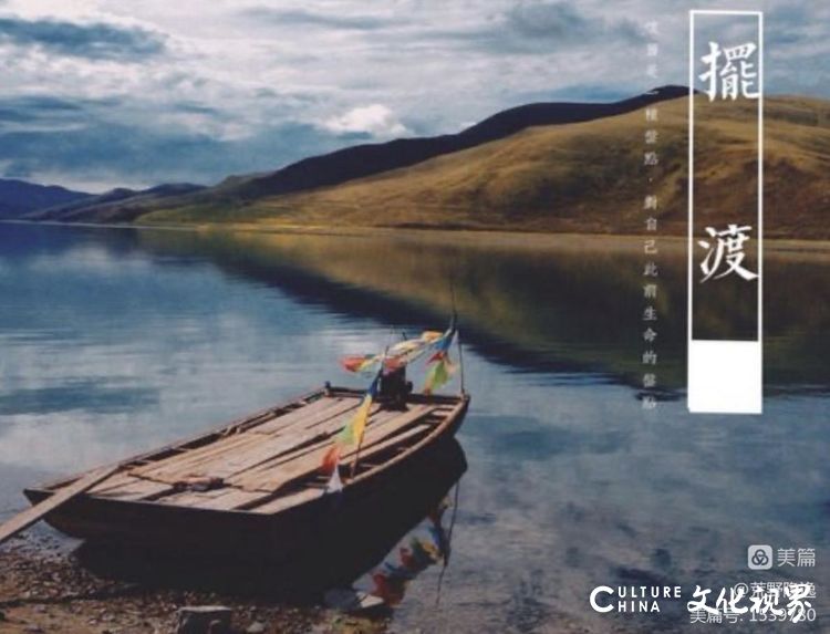 师生之间的灵魂碰撞——我与阿波老师的生死交流