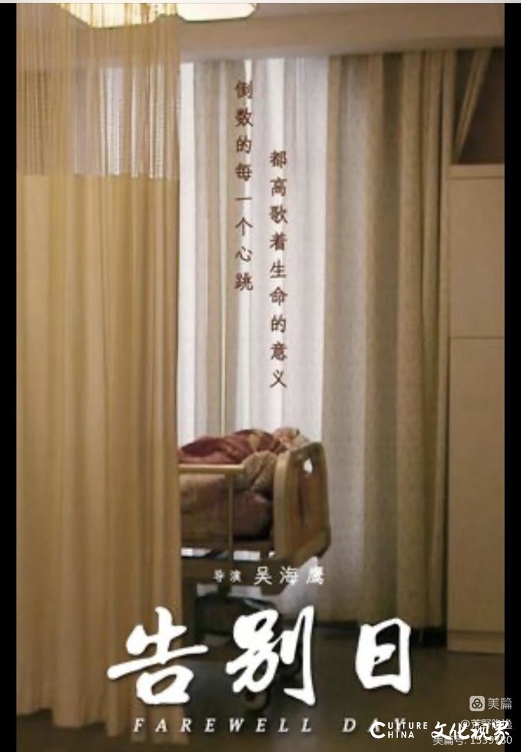 师生之间的灵魂碰撞——我与阿波老师的生死交流