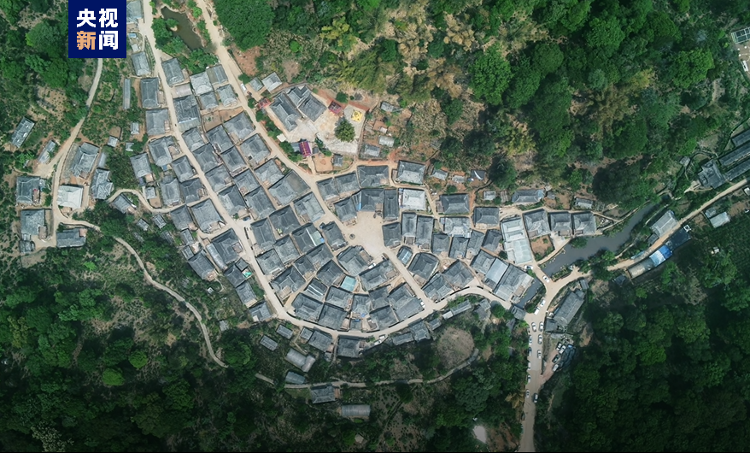 “普洱景迈山古茶林文化景观”成功列入《世界遗产名录》