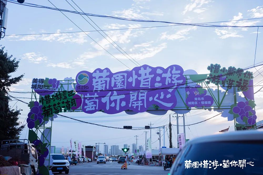 青岛城阳“惜游记”再掀紫色“葡萄潮”： 乡村振兴迭代 “文旅 ”，乡土文化也有“潮”魅力！