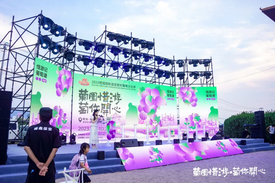青岛城阳“惜游记”再掀紫色“葡萄潮”： 乡村振兴迭代 “文旅 ”，乡土文化也有“潮”魅力！