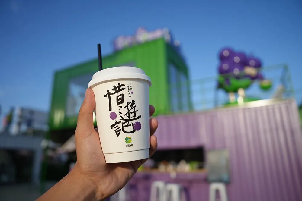 青岛城阳“惜游记”再掀紫色“葡萄潮”： 乡村振兴迭代 “文旅 ”，乡土文化也有“潮”魅力！