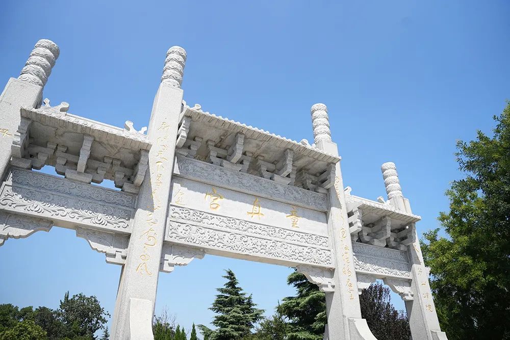 青岛城阳“惜游记”再掀紫色“葡萄潮”： 乡村振兴迭代 “文旅 ”，乡土文化也有“潮”魅力！