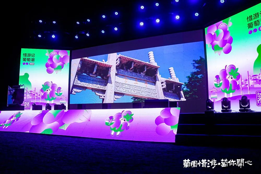青岛城阳“惜游记”再掀紫色“葡萄潮”： 乡村振兴迭代 “文旅 ”，乡土文化也有“潮”魅力！