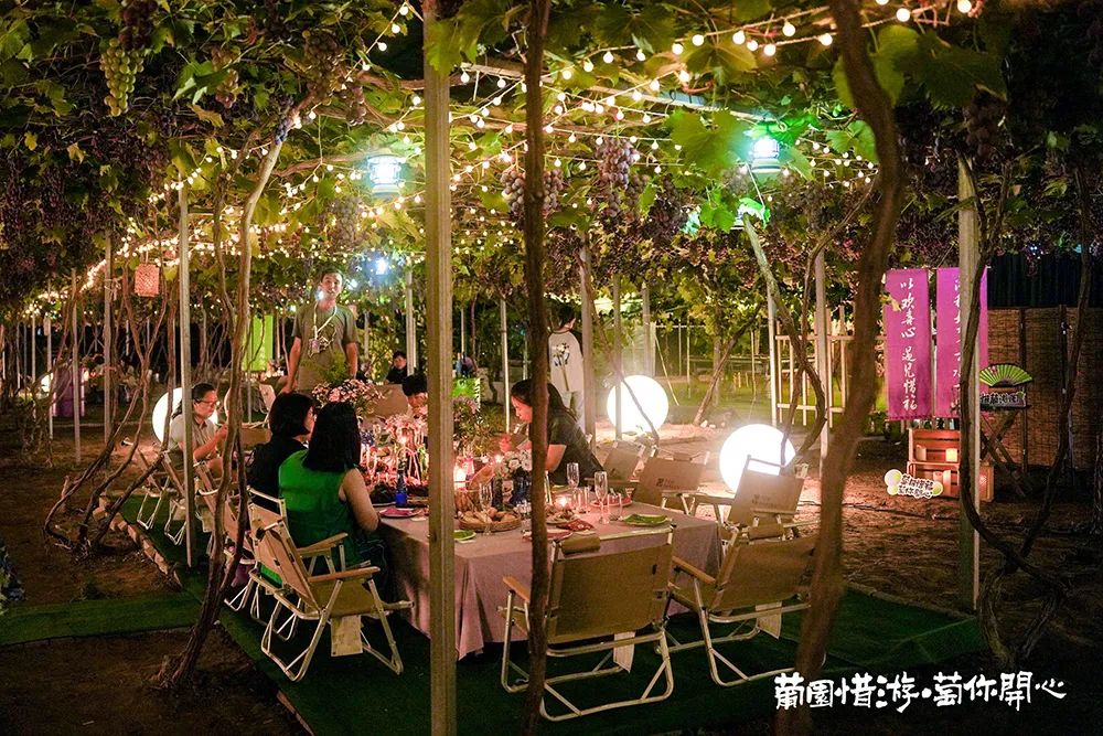 青岛城阳“惜游记”再掀紫色“葡萄潮”： 乡村振兴迭代 “文旅 ”，乡土文化也有“潮”魅力！