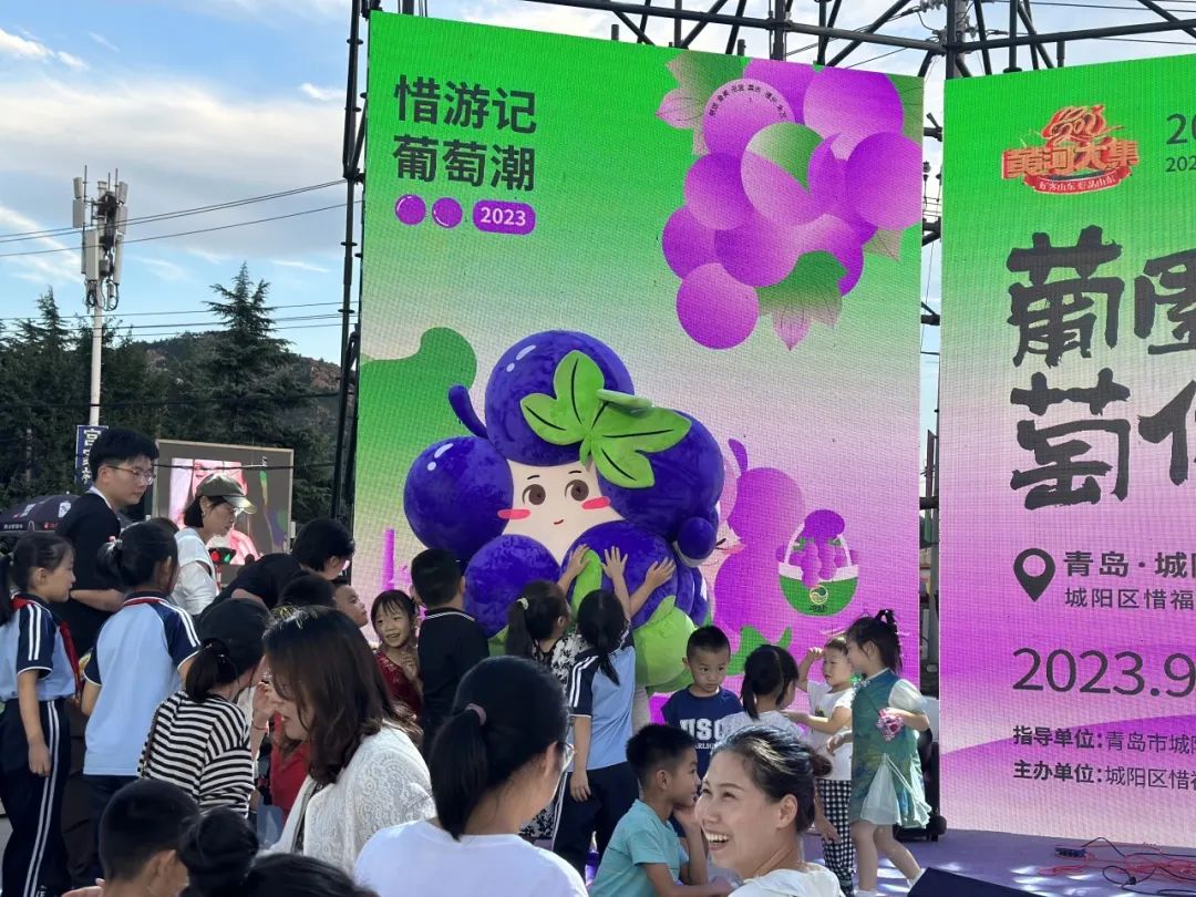 青岛城阳“惜游记”再掀紫色“葡萄潮”： 乡村振兴迭代 “文旅 ”，乡土文化也有“潮”魅力！