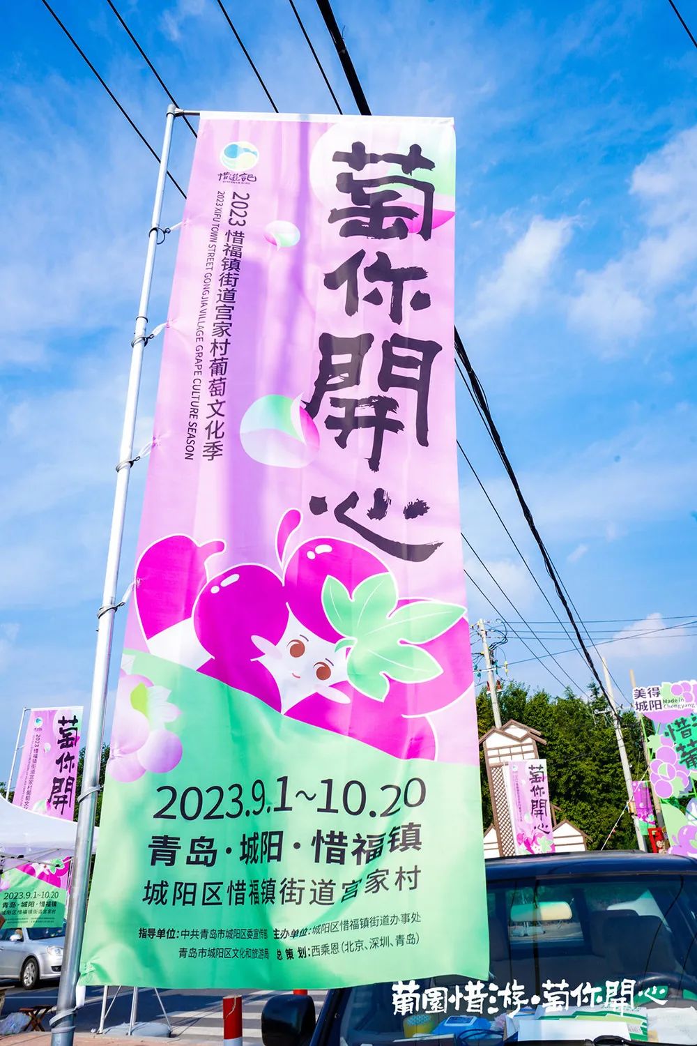 青岛城阳“惜游记”再掀紫色“葡萄潮”： 乡村振兴迭代 “文旅 ”，乡土文化也有“潮”魅力！