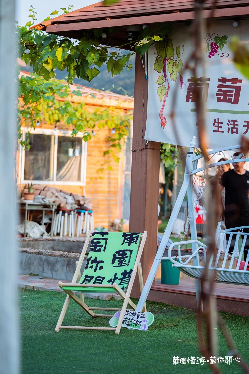 青岛城阳“惜游记”再掀紫色“葡萄潮”： 乡村振兴迭代 “文旅 ”，乡土文化也有“潮”魅力！