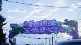 青岛城阳“惜游记”再掀紫色“葡萄潮”： 乡村振兴迭代 “文旅 ”，乡土文化也有“潮”魅力！