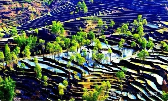 随舒建新重游广西哈尼人村落，再赏元阳梯田美景