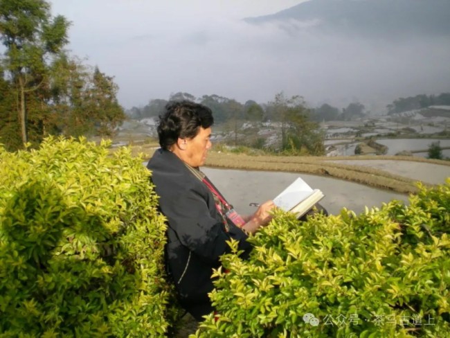 随舒建新重游广西哈尼人村落，再赏元阳梯田美景