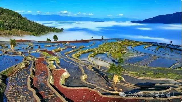 随舒建新重游广西哈尼人村落，再赏元阳梯田美景