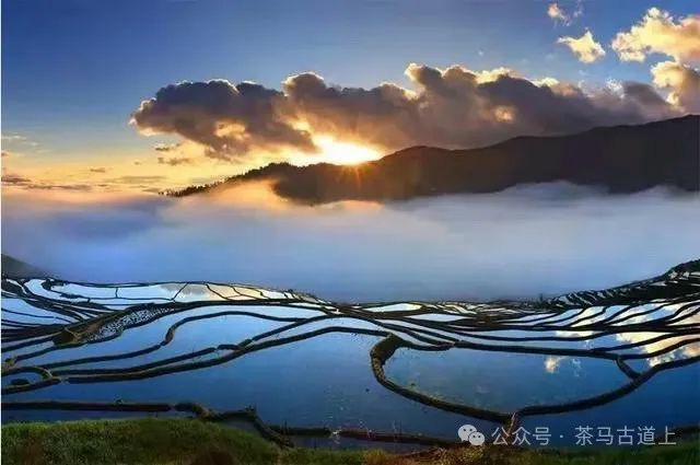 随舒建新重游广西哈尼人村落，再赏元阳梯田美景