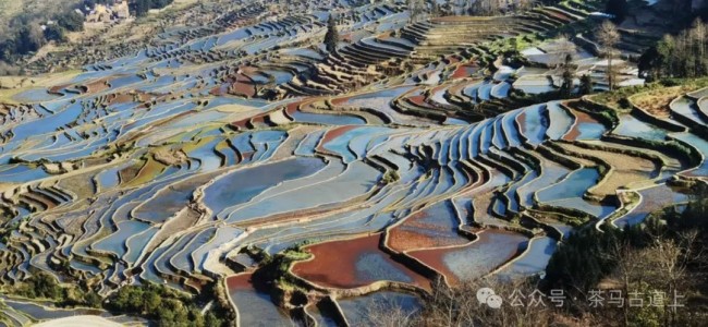 随舒建新重游广西哈尼人村落，再赏元阳梯田美景