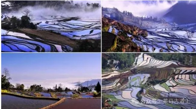 随舒建新重游广西哈尼人村落，再赏元阳梯田美景
