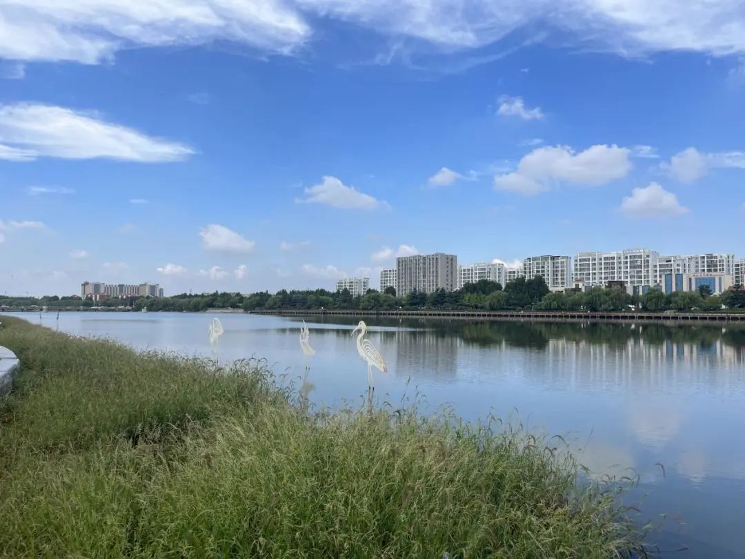 @青岛人 别错过9·28，“月圆白沙河——多媒体光影艺术季”＆“艺术北岸”璀璨登场！