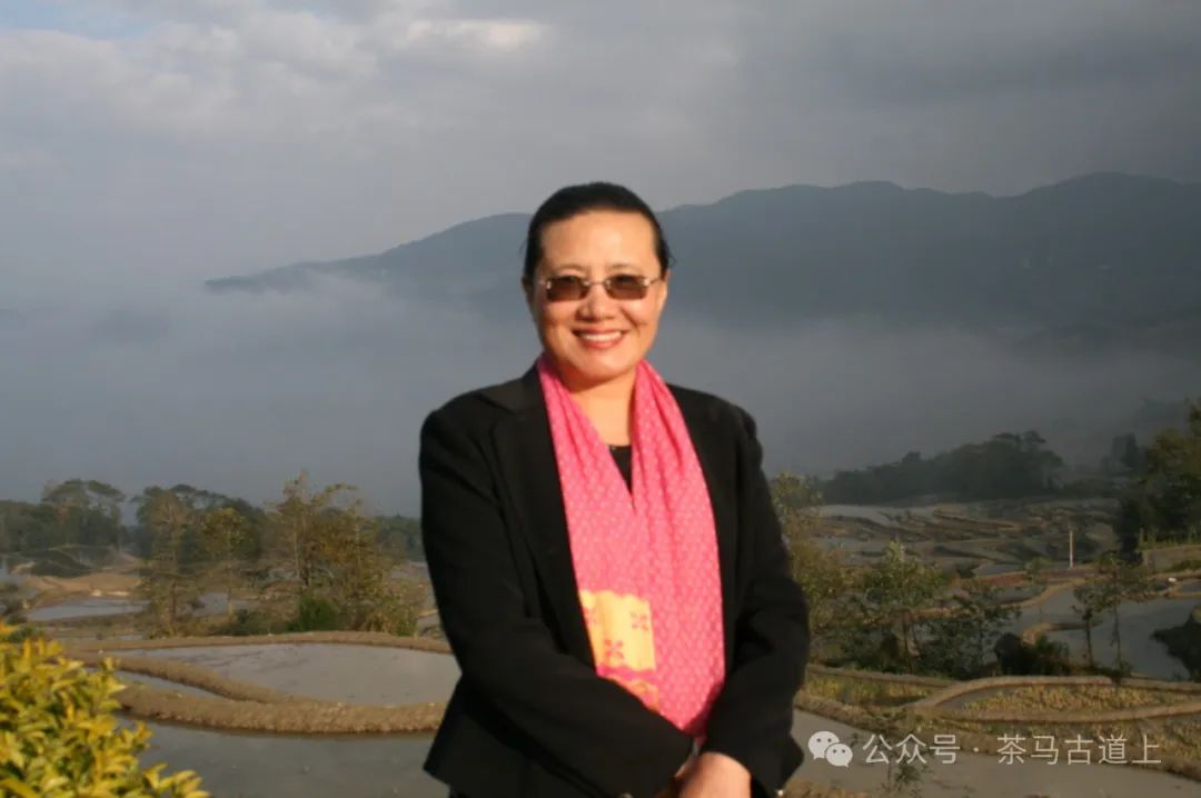 往事一去不复返，只有思念在心头……随舒建新再游云南哈尼民俗村