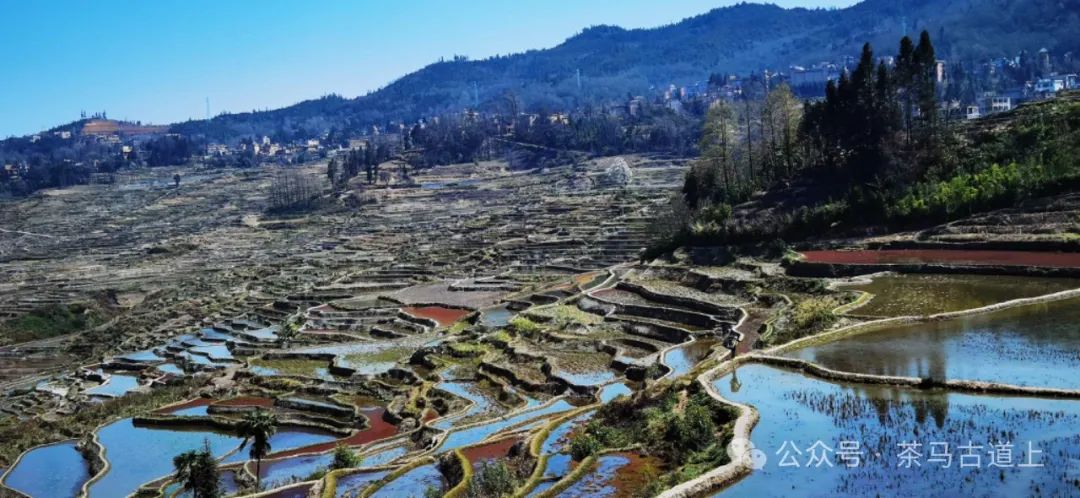 往事一去不复返，只有思念在心头……随舒建新再游云南哈尼民俗村