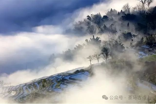 往事一去不复返，只有思念在心头……随舒建新再游云南哈尼民俗村