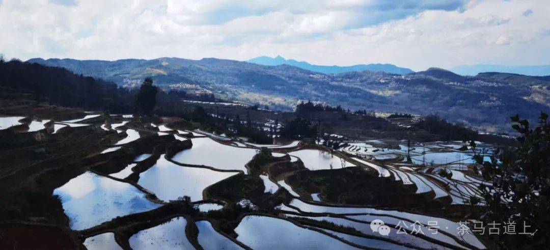 往事一去不复返，只有思念在心头……随舒建新再游云南哈尼民俗村