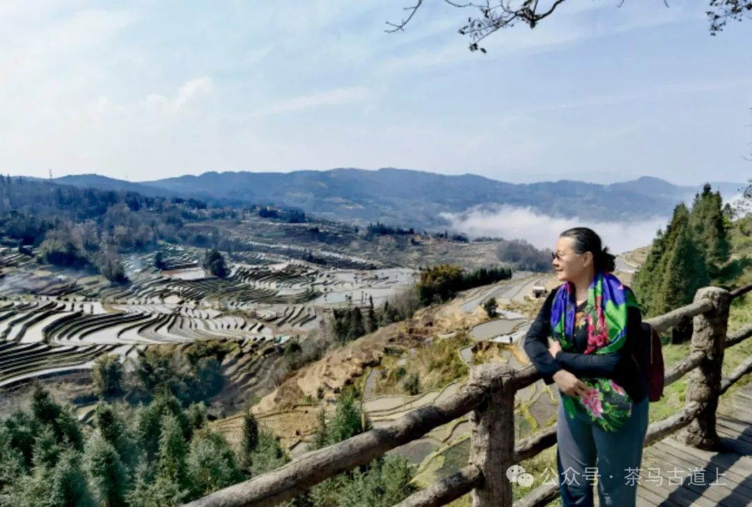 往事一去不复返，只有思念在心头……随舒建新再游云南哈尼民俗村
