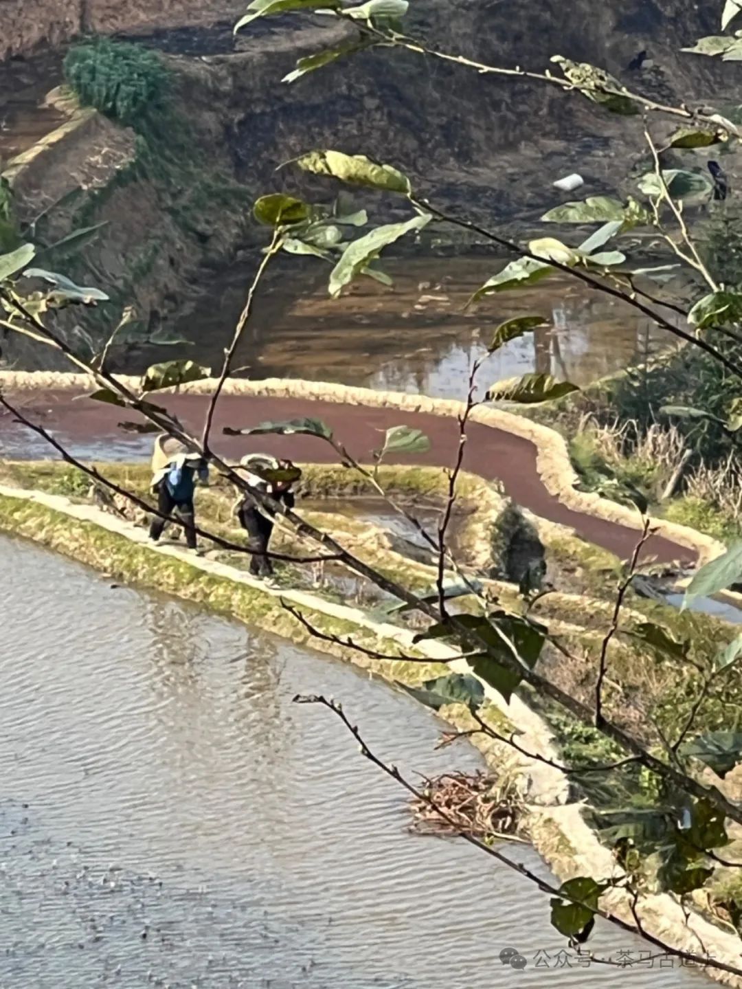 往事一去不复返，只有思念在心头……随舒建新再游云南哈尼民俗村