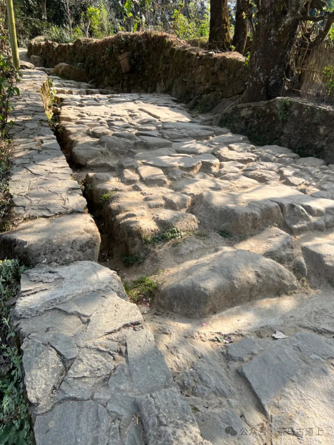 往事一去不复返，只有思念在心头……随舒建新再游云南哈尼民俗村