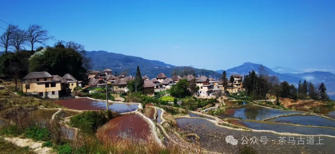 往事一去不复返，只有思念在心头……随舒建新再游云南哈尼民俗村