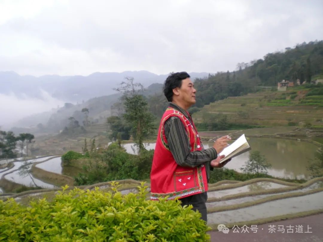 往事一去不复返，只有思念在心头……随舒建新再游云南哈尼民俗村