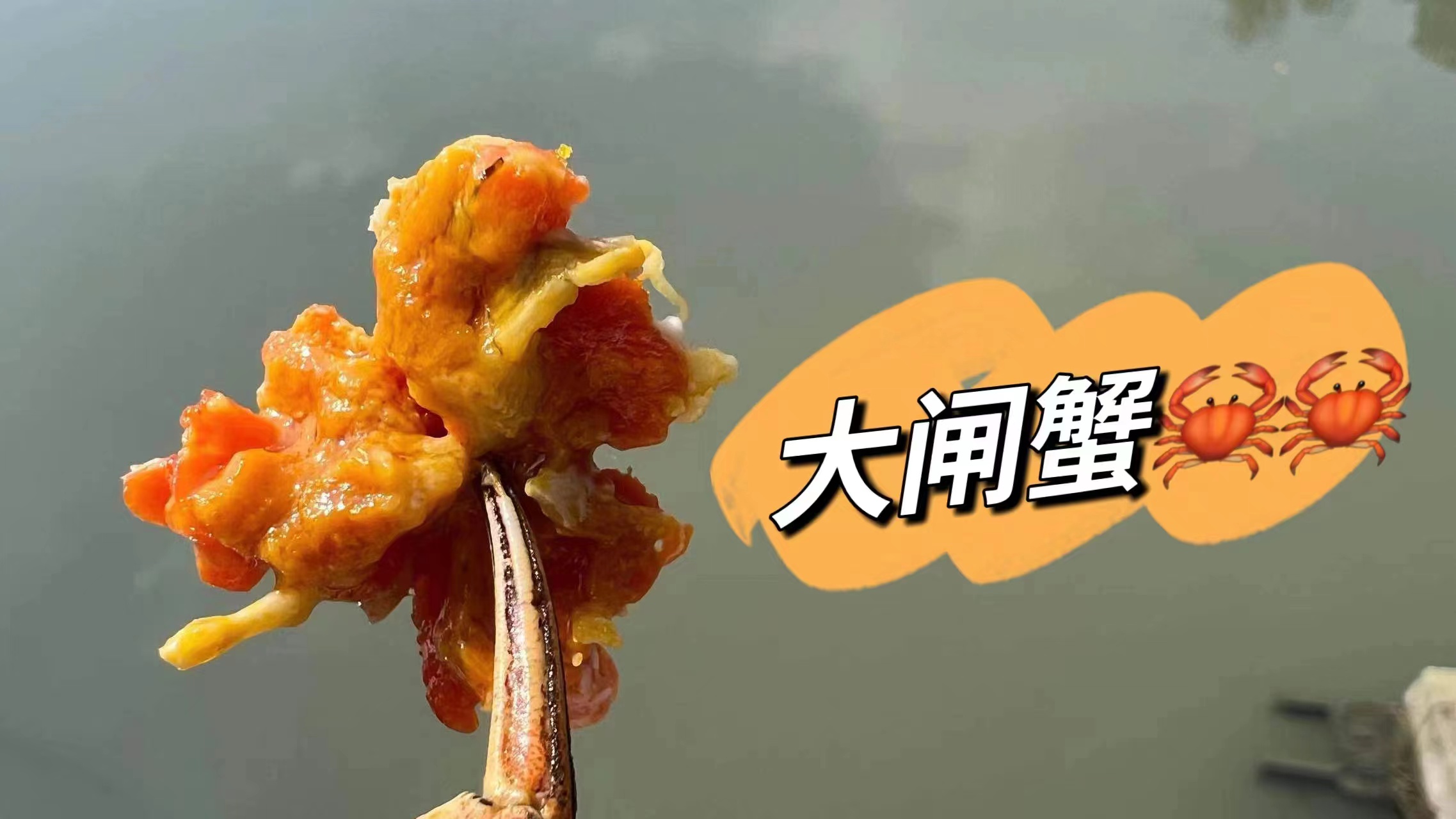 今晚八点坐等“远方好物商城”，晚熟的阳澄湖大闸蟹终于来了