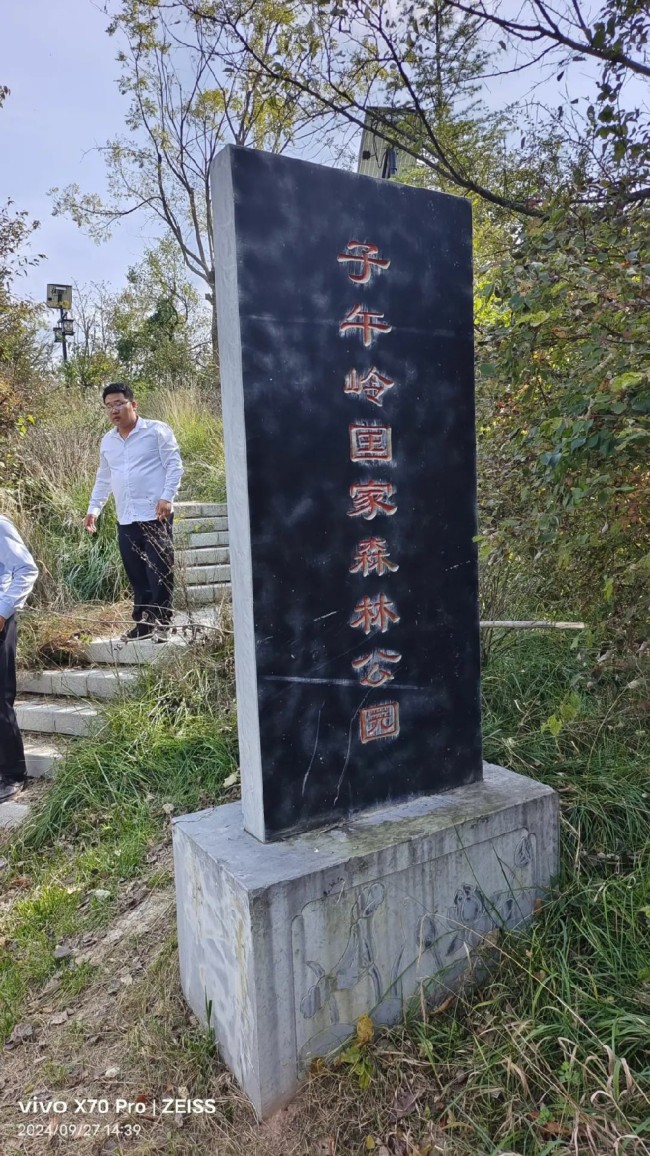 著名画家吕峻涛 | 登临故乡子午岭，调令关上忆蒙恬