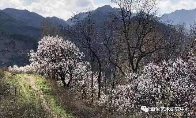 “冰甜脆”！“火出圈”的青岛莱西冬桃：一口就能为它“沦陷”