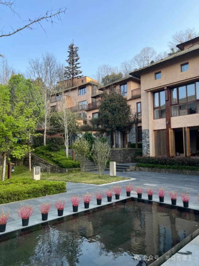随舒建新探寻“三七”花盛开的地方