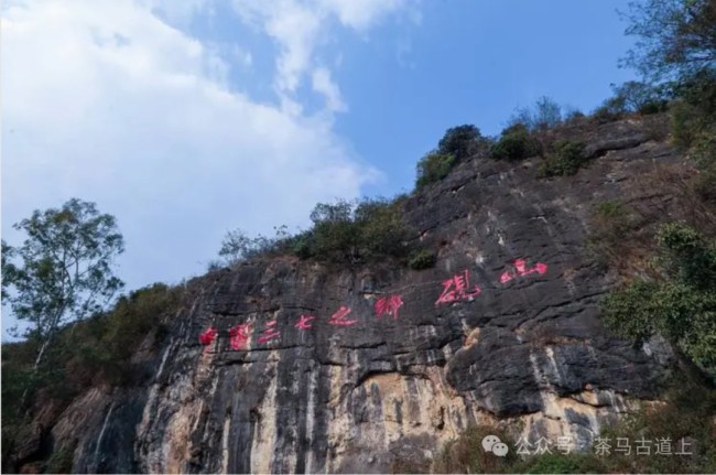 随舒建新探寻“三七”花盛开的地方