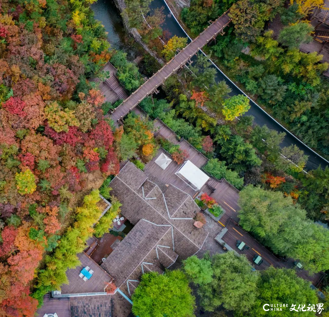 邂逅秋日限定浪漫 | 九如山旅游度假区红枫秘境大揭秘！邀您共赴北方赏枫天花板