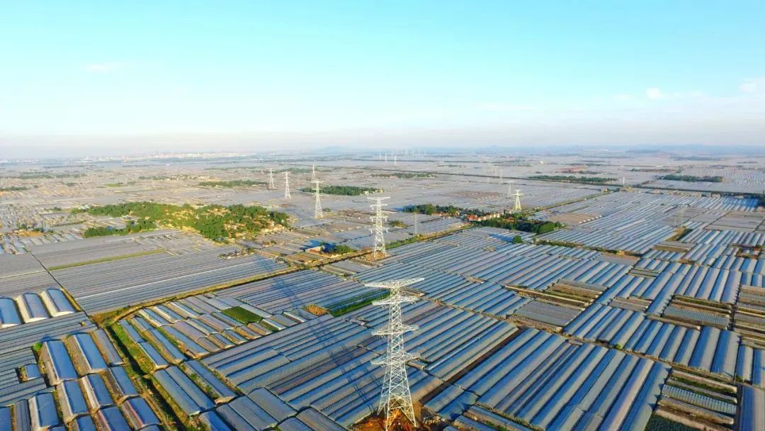 中国烹饪大师、萃华楼传承人李建国：重拾鲁菜文化自信，重现千年“舌尖上的精工细作”