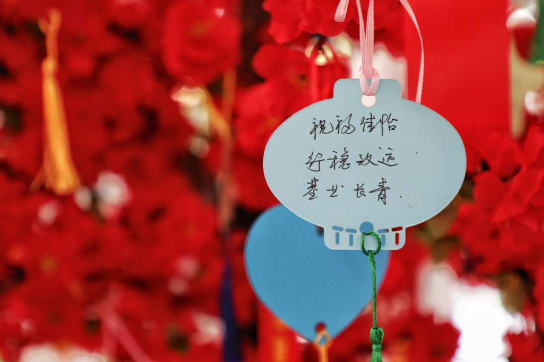 “廿五佳怡情 · 筑梦同心行”——佳怡集团举办二十五周年庆典