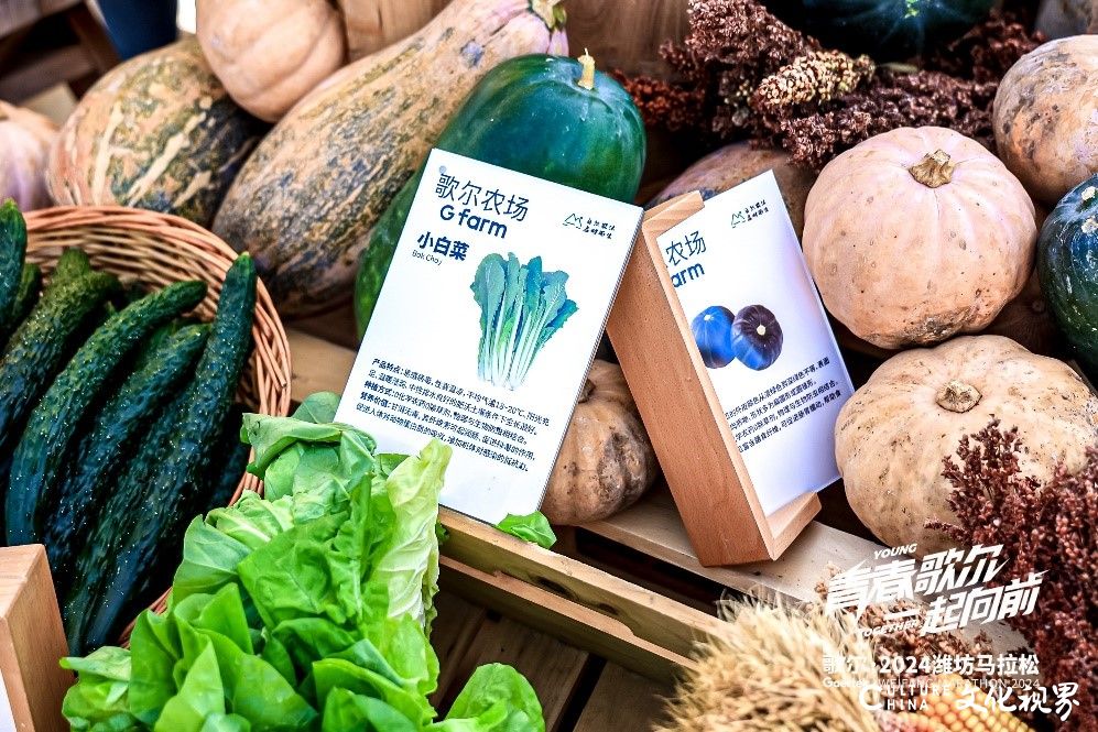 品味古点，乐享健康——歌尔旗下古点美食助力潍马打造健康美味盛宴