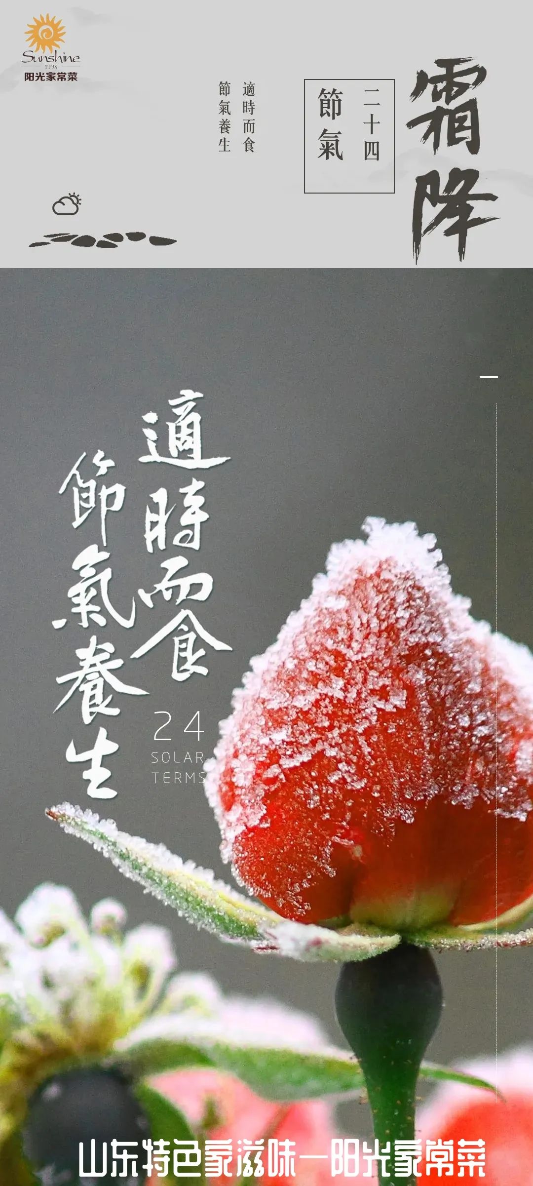 今日霜降，阳光家常菜邀您好柿成霜