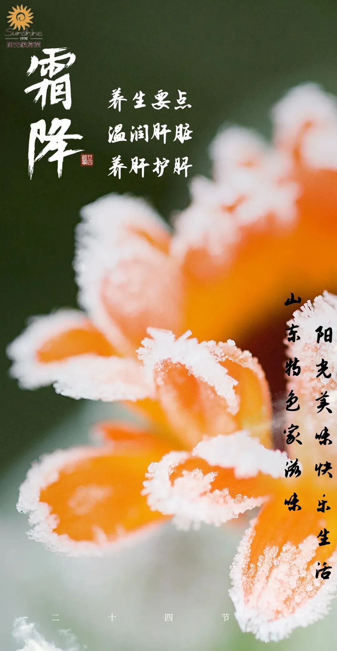 今日霜降，阳光家常菜邀您好柿成霜