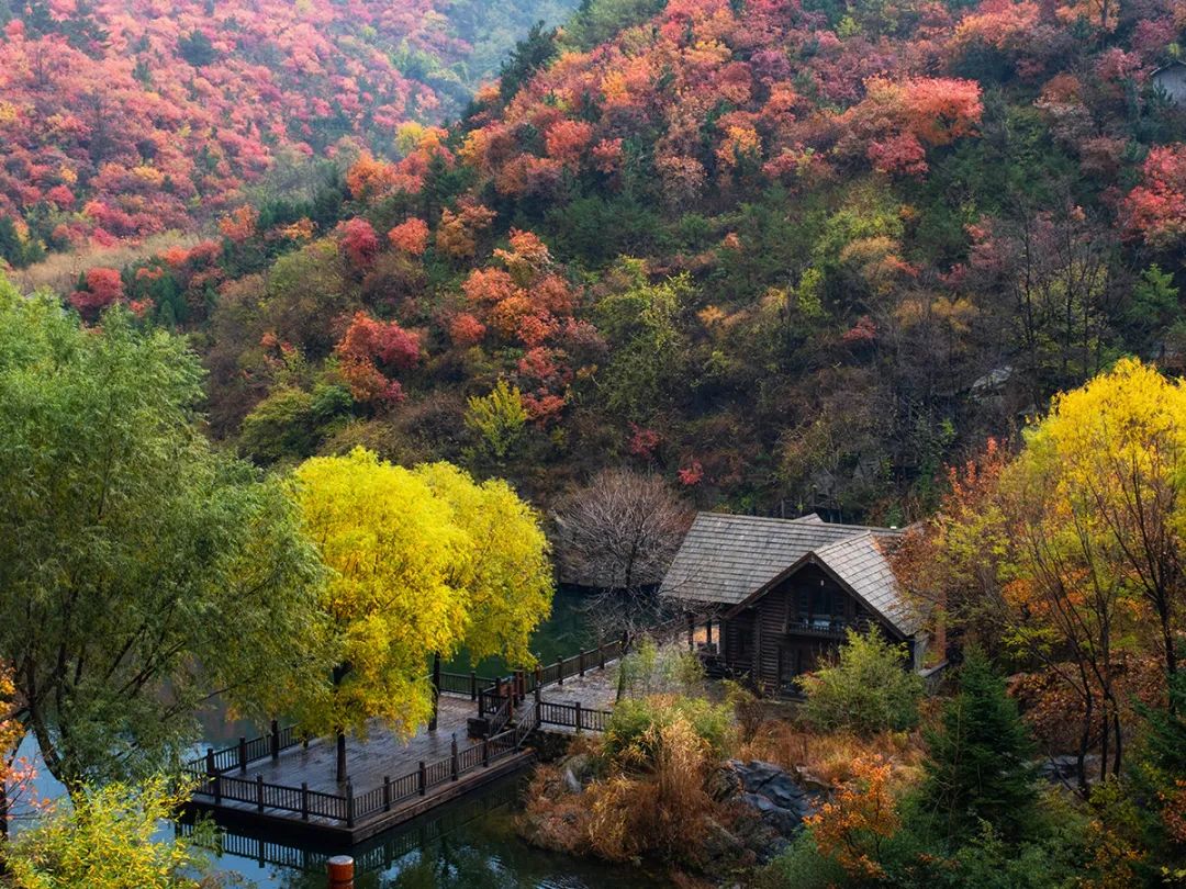 @全国小伙伴，再不来就晚啦！来济南九如山邂逅“醉美”红叶季！