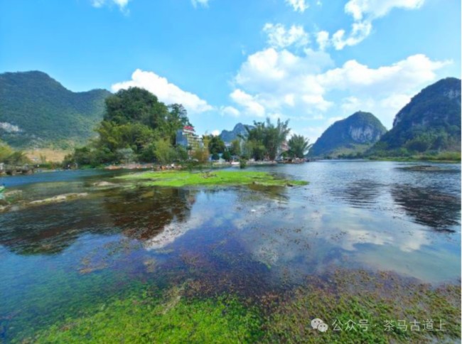 鹅泉跃鲤三层浪，广西靖西好风光……随舒建新到鹅泉村探访“灵泉晚照”