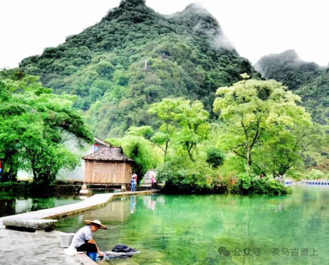 鹅泉跃鲤三层浪，广西靖西好风光……随舒建新到鹅泉村探访“灵泉晚照”