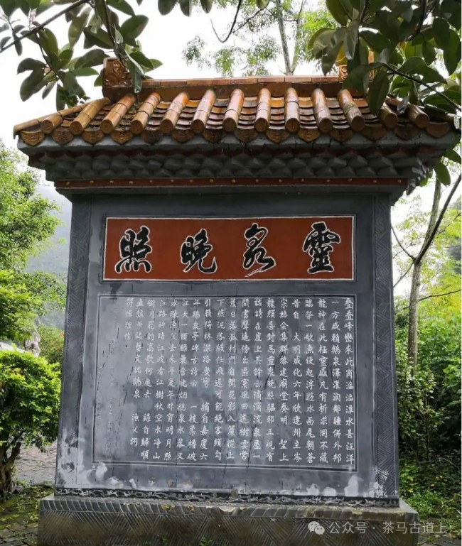 鹅泉跃鲤三层浪，广西靖西好风光……随舒建新到鹅泉村探访“灵泉晚照”